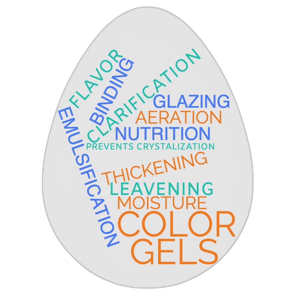 Functions of an egg in a word cloud